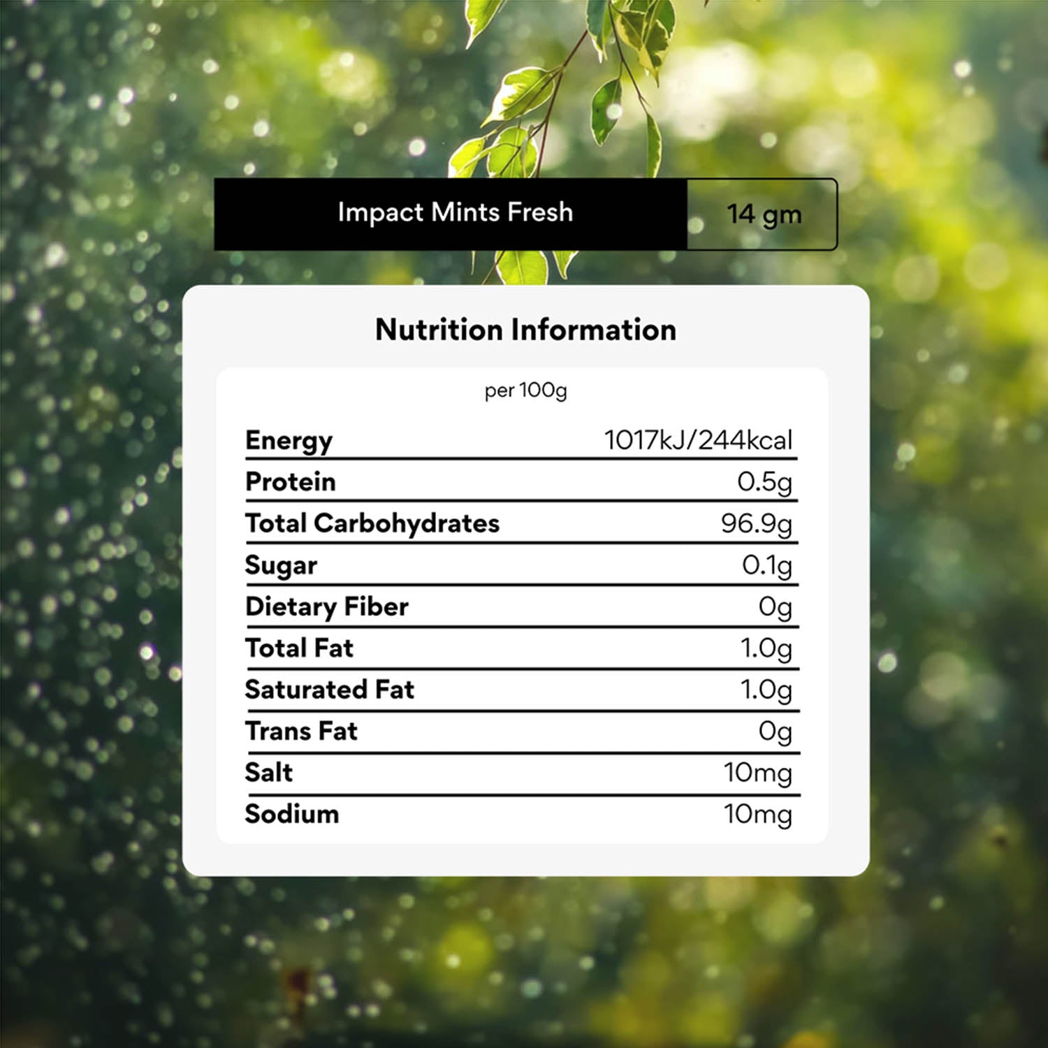 CLASSIC MINTS - PACK OF 3