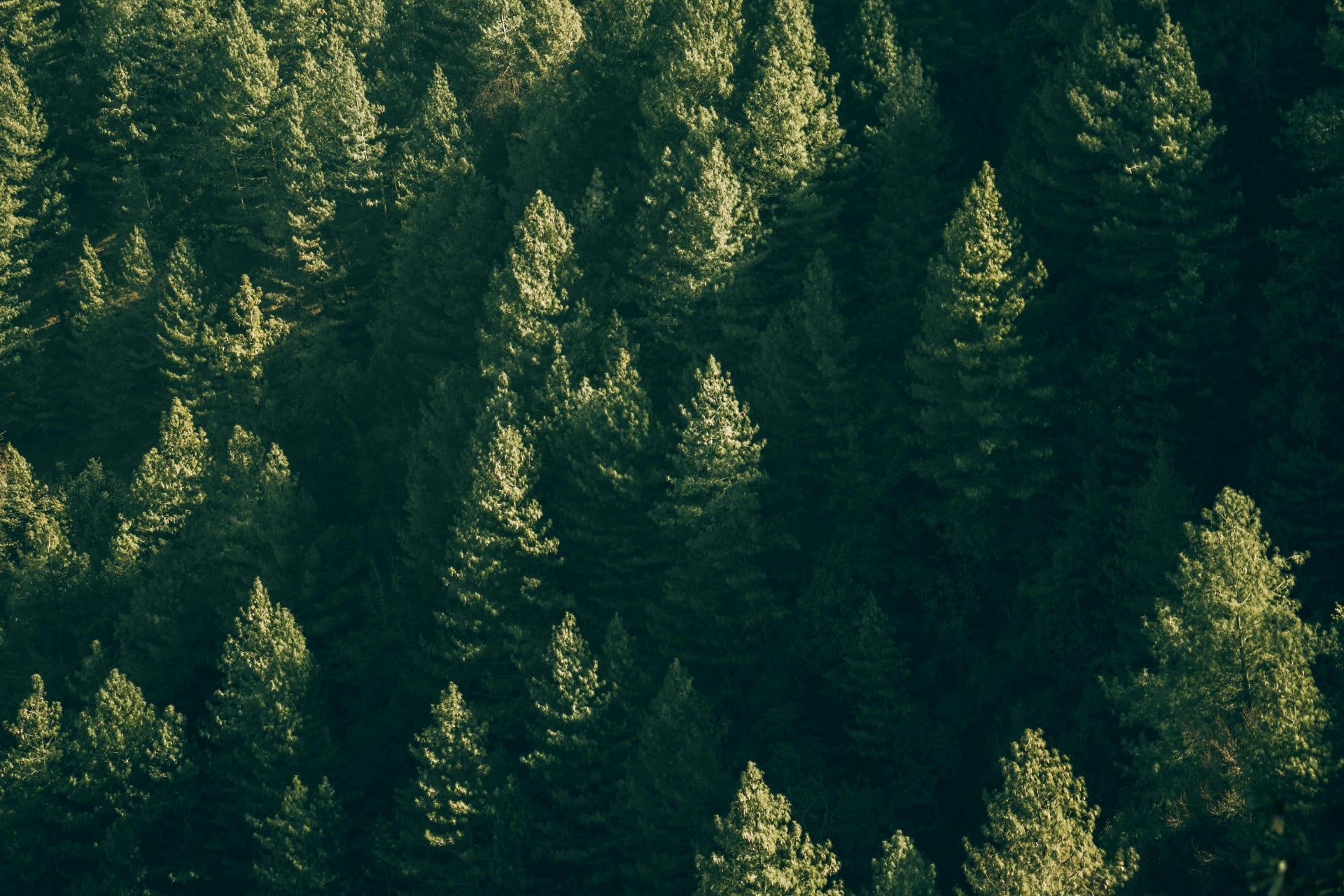 Footer background